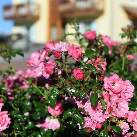 Gospodarstwo agroturystyczne Agritur Maso Chemela